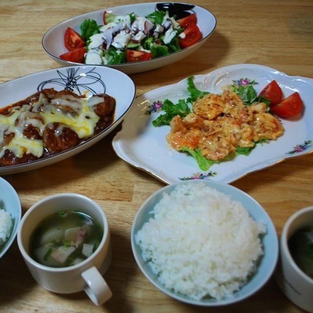 昨夜は鶏肉で煮込みハンバーグなど～