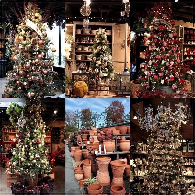 カリフォルニアのクリスマス【ROGER'S GARDENS】