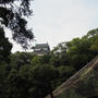 お城の動物園・和歌山公園動物園のミーアキャット舎が新調！