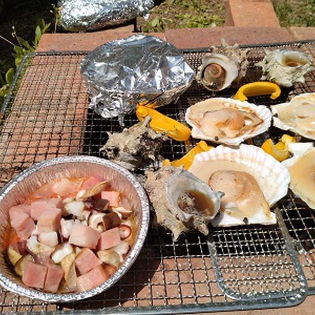 庭でＢＢＱ→もぐ。興味なし^^;　2023/5/11（木）