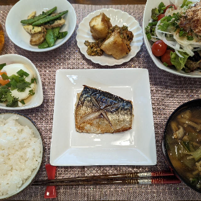 塩鯖!