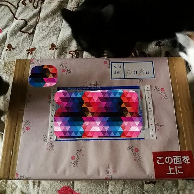 【小梅・さくら・桃之介通信】お届け物で～す♪