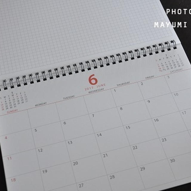 【100均ダイソー】2017年はカレンダーを使って節約上手になれる！？