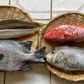 日本からの魚のお取り寄せ＿2023年9月　♪秋の味覚秋刀魚♪