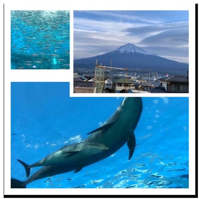 八景島シーパラダイスに出かけてきました！！今朝の富士山