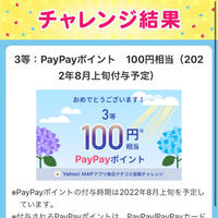 PayPay100ポイント