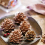 Christmas Sweets : Edible Pine Cones