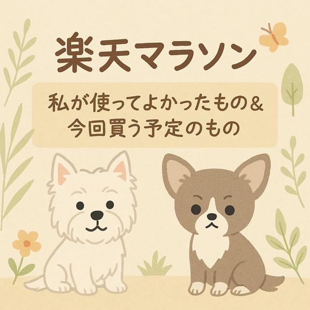 楽天マラソン開始！今回はこれを狙います【2025年5月】