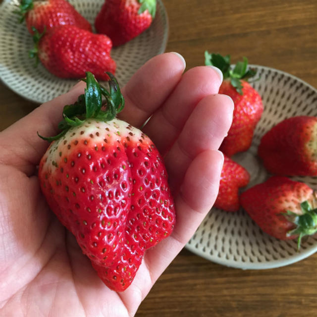 くだものだもの