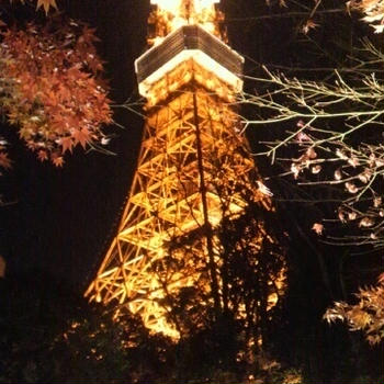 私と東京タワー