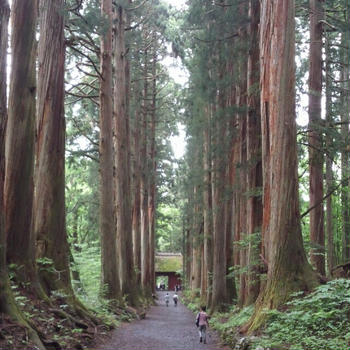 森林浴