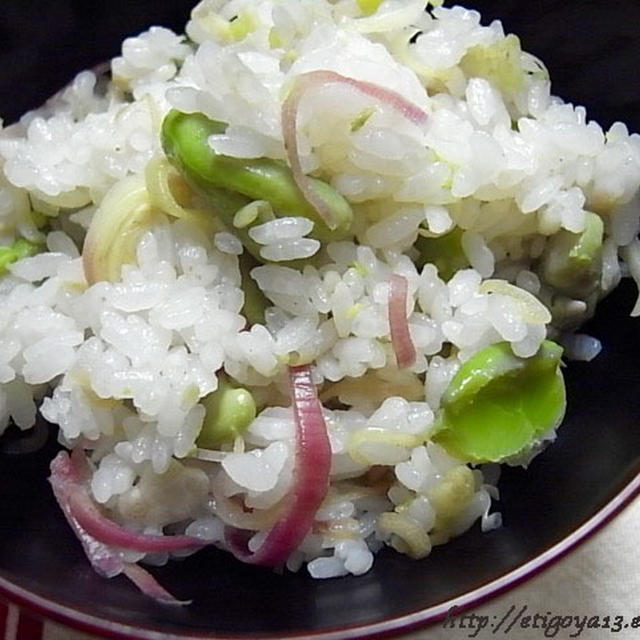 空豆と茗荷の炊き込みご飯 By 越後屋さん レシピブログ 料理ブログのレシピ満載