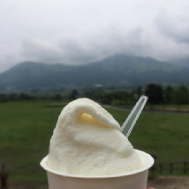#ピュアホワイト#生で食べられるとうもろこし 甘くて旨い#八ヶ岳 #八ヶ岳農業実...