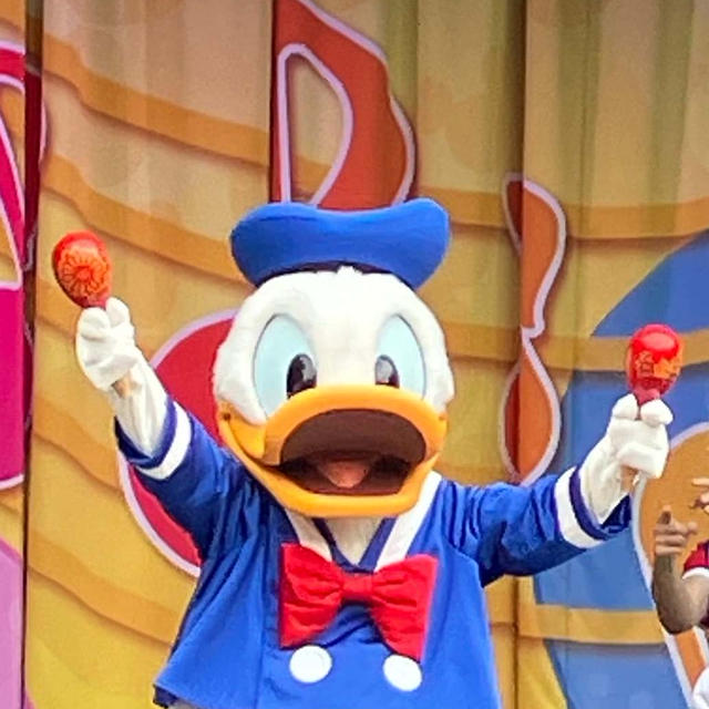 【202506TDR】今回体験したかったアトラクションとショーなど