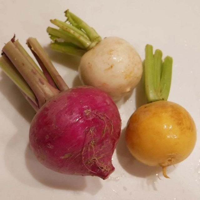 カブの甘酢漬けと菊菜のさらだ、昨日の晩ごはん#本日のおうちごはん