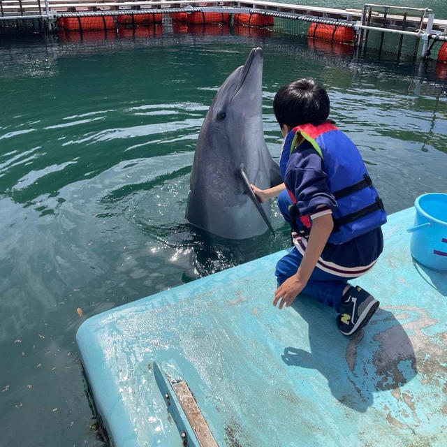 我が家の下田海中水族館攻略プラン①