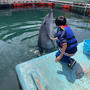 我が家の下田海中水族館攻略プラン①