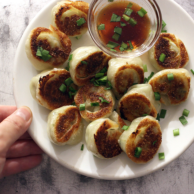 Today's Gyoza