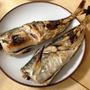 釣りたての鯵