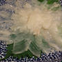 釣りでお魚三昧。うまづらはぎの肝醤油といなだのしゃぶしゃぶ