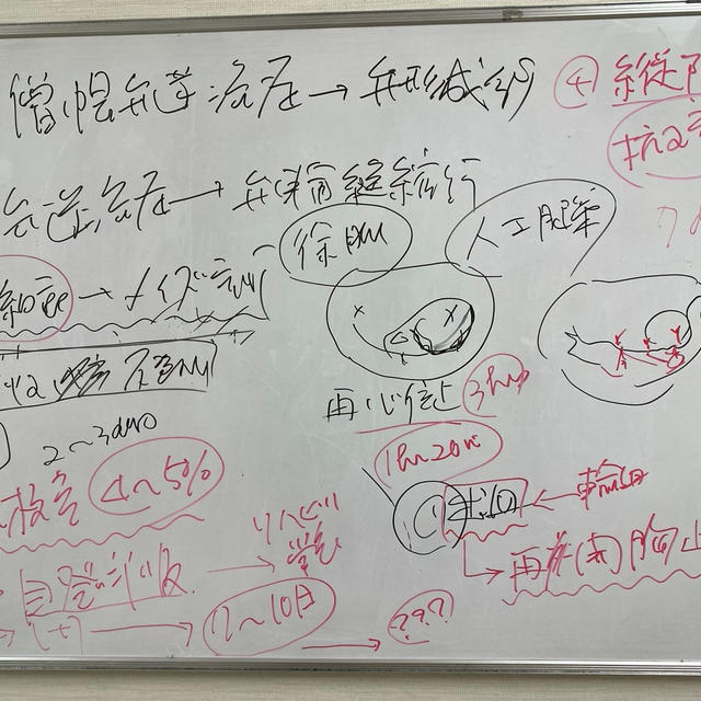 手術から一夜明けて・・・