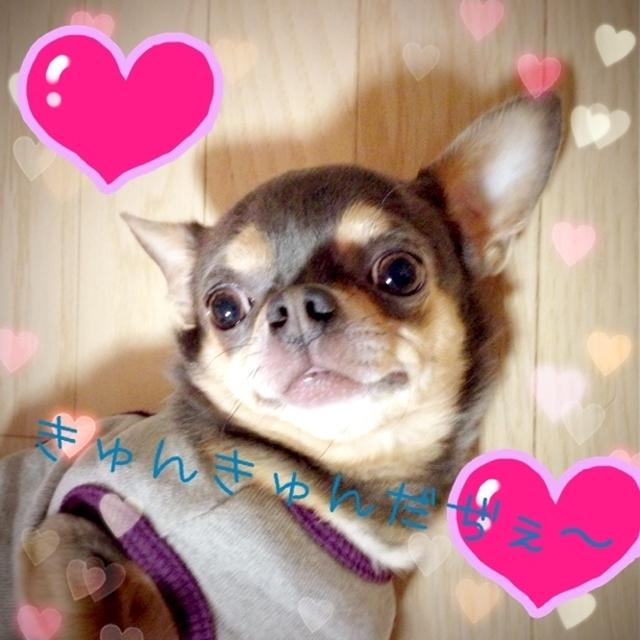 今日の1枚☆