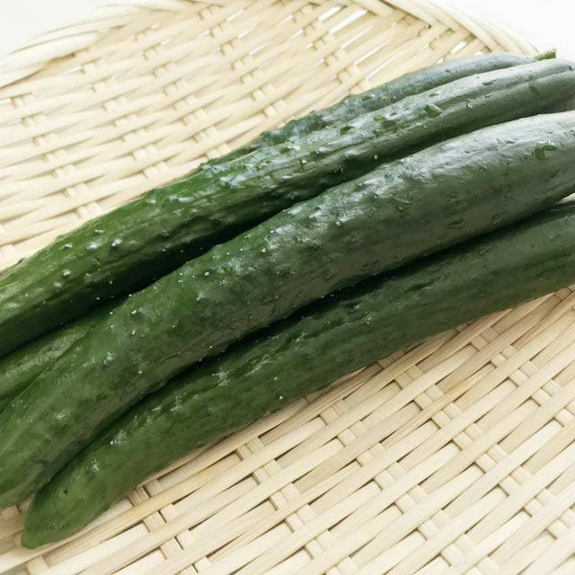 きゅうり 値段 キュウリ 胡瓜 1キロ平均458円 相場や旬の情報まとめ