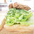 夏野菜の攻略法　その1.きゅうり　と「冷凍レシピ＆テクニック」！！