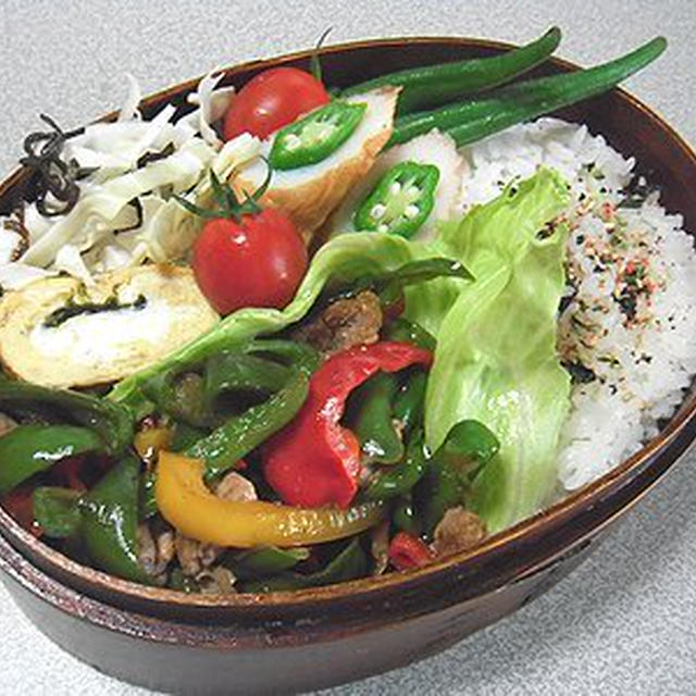 チンジャオロース弁当。見つめるきなこ。長男の話の３本立て（笑）