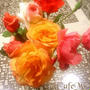 サハラという薔薇 ♡