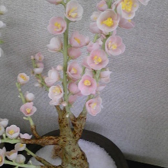 亀屋良長さんで和菓子づくり