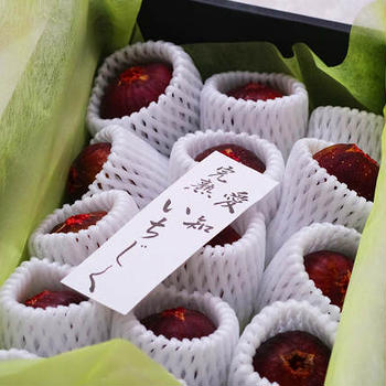 「いちじく」と「さくらんぼ」で贅沢果物ごはん♪