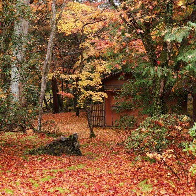 西芳寺(苔寺)