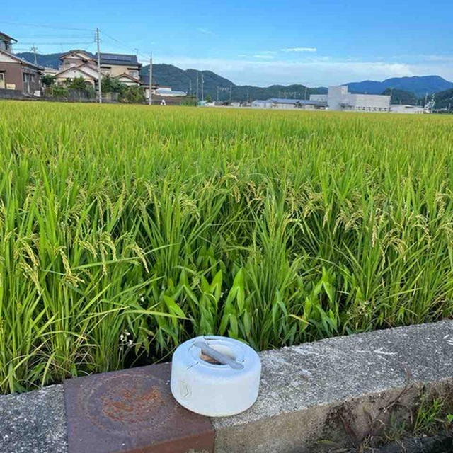 冷蔵庫の整理を兼ねてのおうちご飯