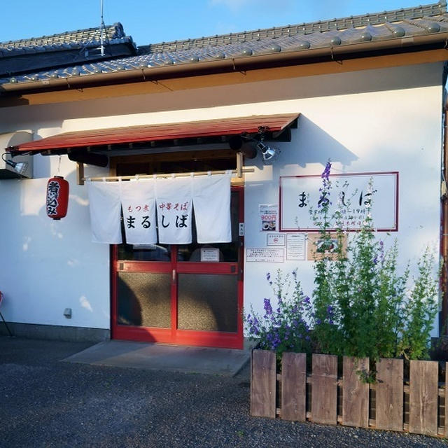 煮込み食堂 まるしば＠茨城県つくば市　中華そばともつ煮半丼
