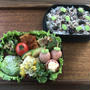 お弁当（枝豆と雑穀米）