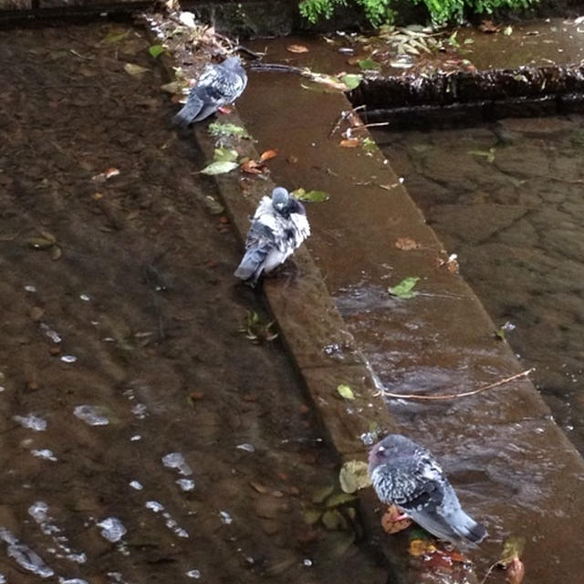 まんまる隊(*^^*)