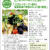 ＜連載さくら大福VOL85号＞【トロカレイオーブン焼きと菜園素揚げ野菜ののっけ盛り素麺】Ｗで掲載＠＠！