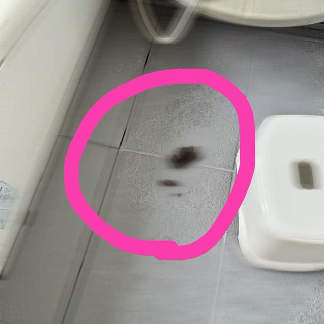 次女発狂...ごめんなジェリくん。