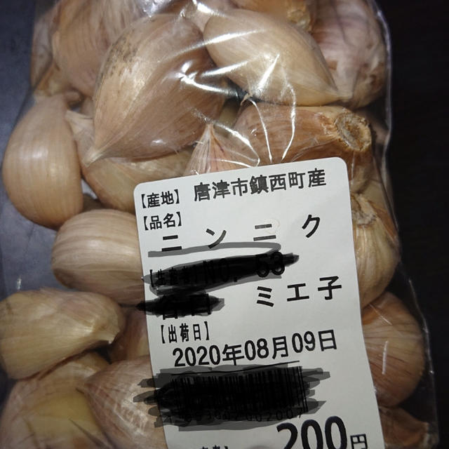 続き、釣り旅２日目（平戸、長崎）アジング、ルアーフィッシング、海釣り、アジ