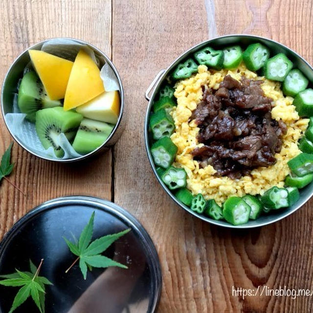 息子の✳︎三色丼弁当♡