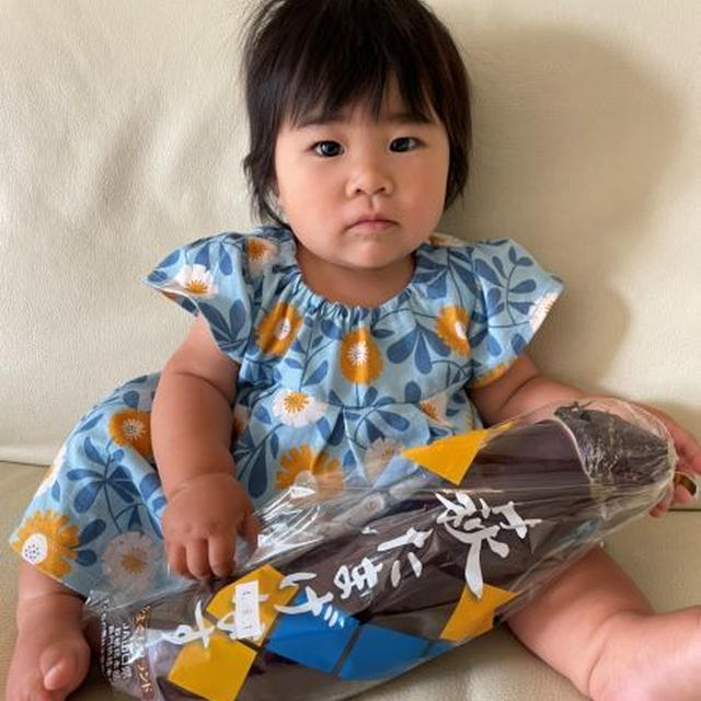 姪っ子あかりん　VS　萩たまげなす