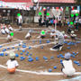 運動会（後半戦）