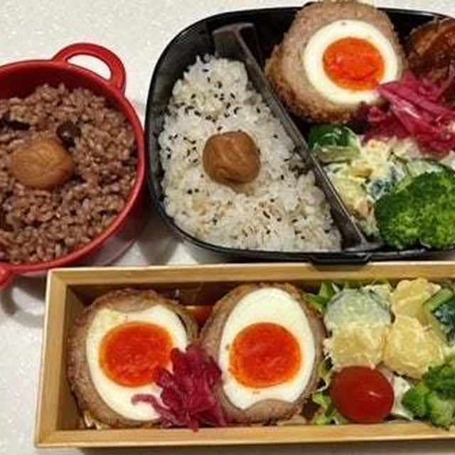 スコッチエッグ弁当・ディジョンマスタードを使って
