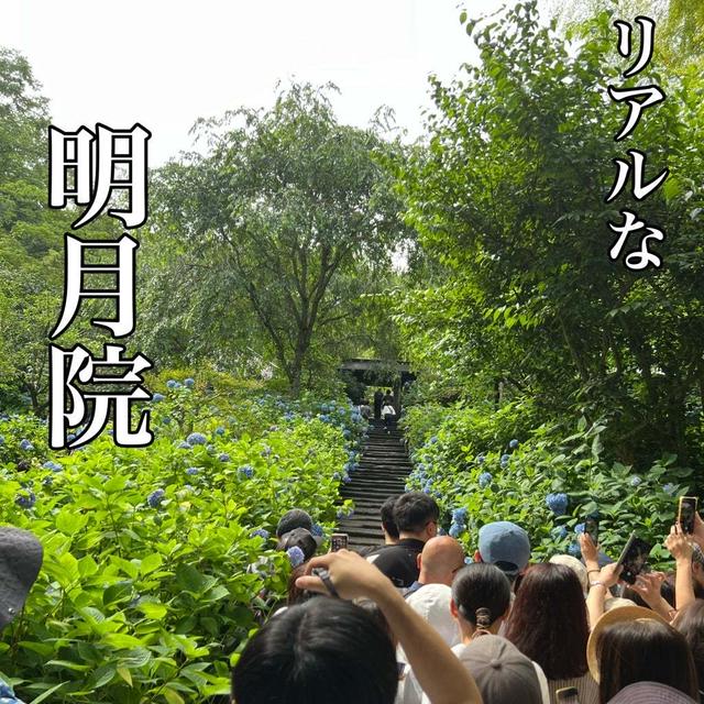 鎌倉で飲んだ珈琲がおいしすぎて忘れられない。