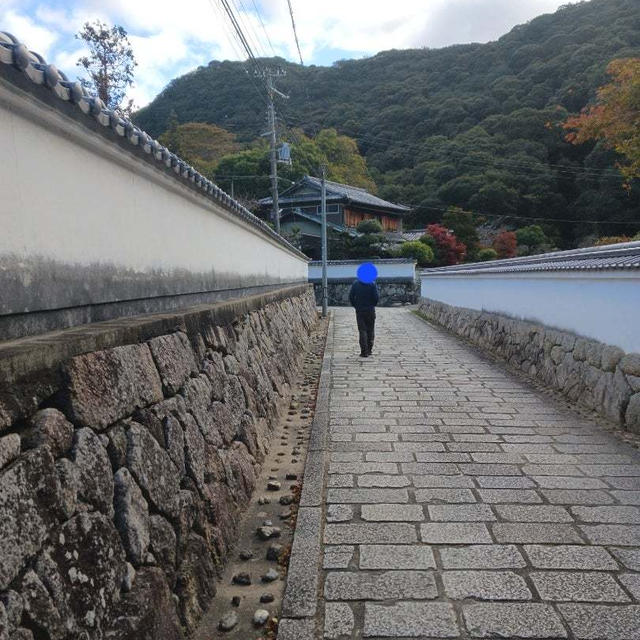 紅葉を見に太山寺へ…