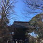 自由が丘新春情報 九品仏浄心寺までお散歩　チーズケーキのBAKEは２日〜営業
