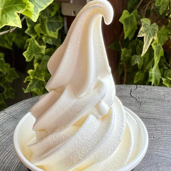 熊本　阿蘇でジャージー牛のソフトクリーム