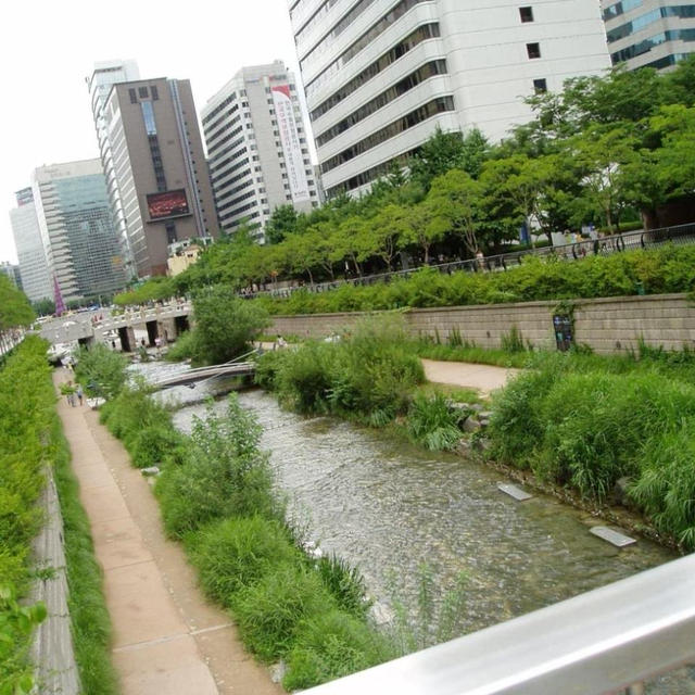 Seoulの暑い日　Psrt 2　～　これでも・・・　～