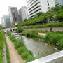 Seoulの暑い日　Psrt 2　～　これでも・・・　～